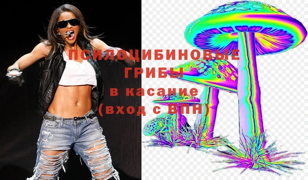 мяу мяу мука Бугульма